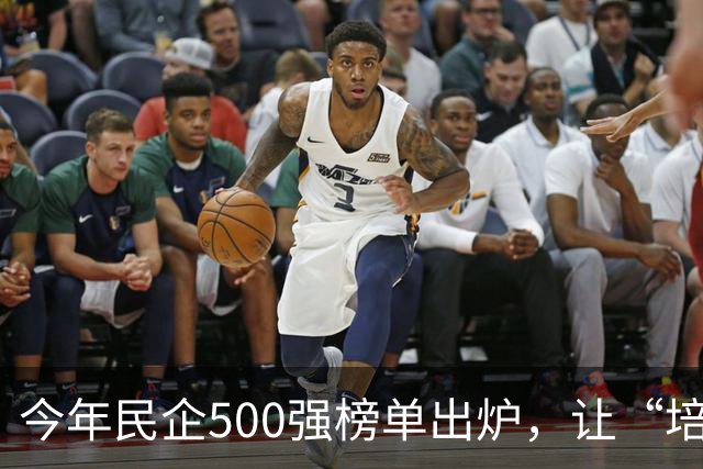 今年民企500强榜单出炉，让“培养更多的京东”豪言成为笑话！